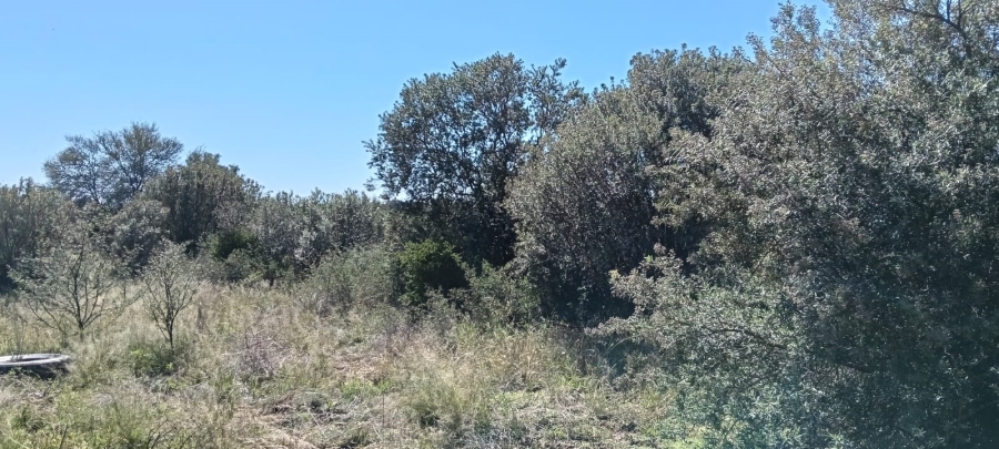 4 Bedroom Property for Sale in Ferreira Free State